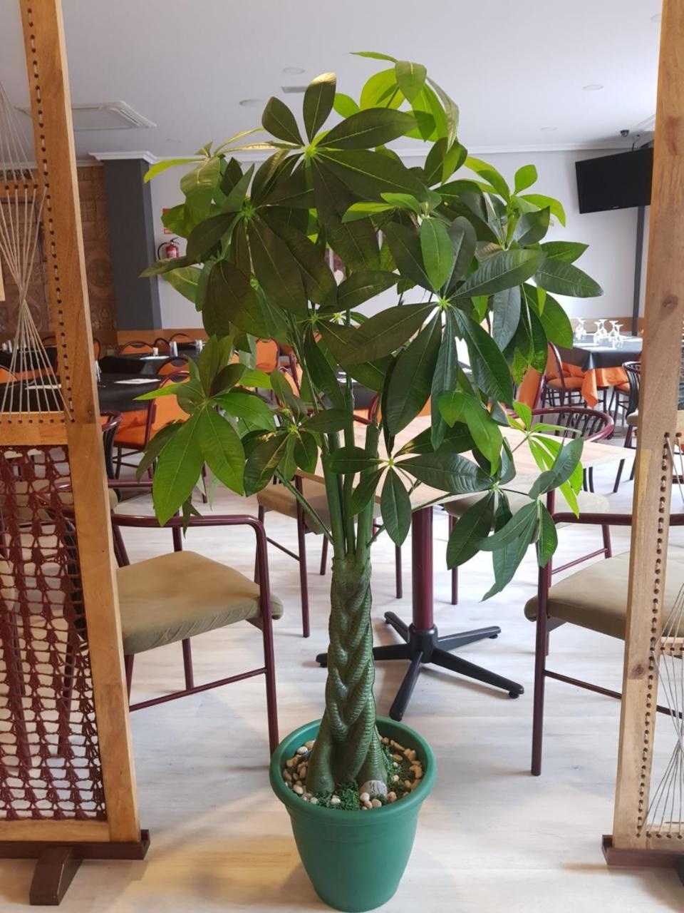 Hostal Restaurante El Abuelo Trobajo Del Camino Ngoại thất bức ảnh